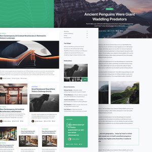 Website Berita