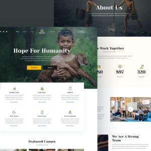 Website Donasi